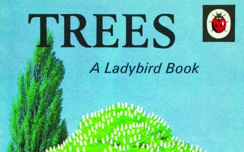 Biodiversity Net Gain: A Ladybird&nbsp;Guide